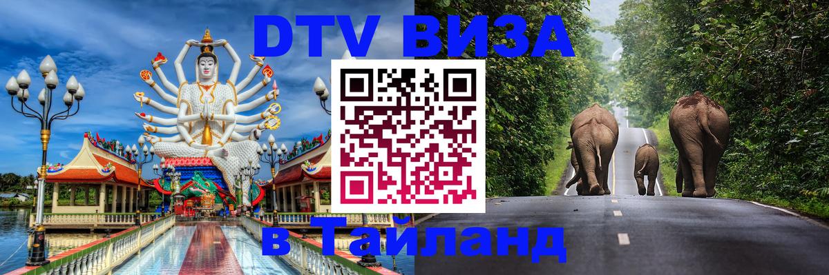 Оформление DTV визы под ключ: стоимость и тарифы, только загранпаспорт - 20.11.2025 